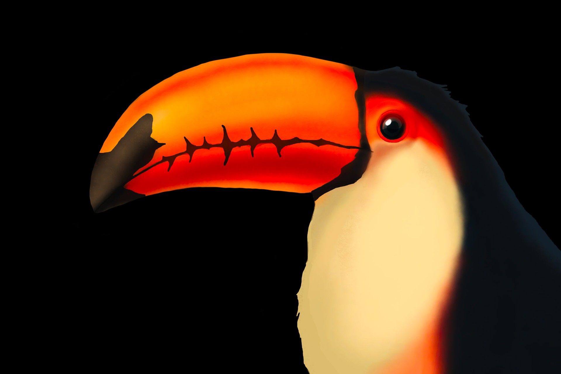 Toucan